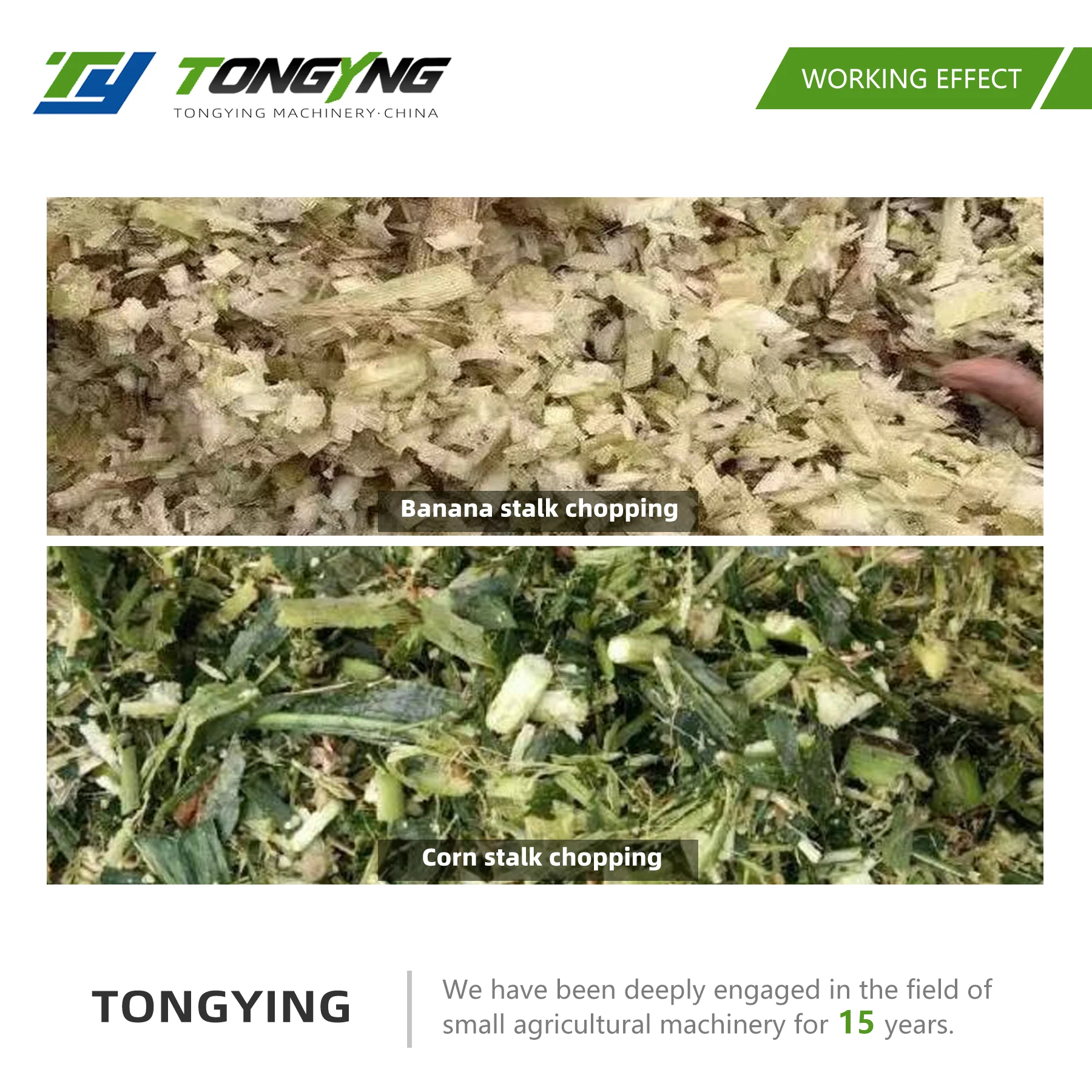 Farmer Processing Banana Stems for Livestock Feed